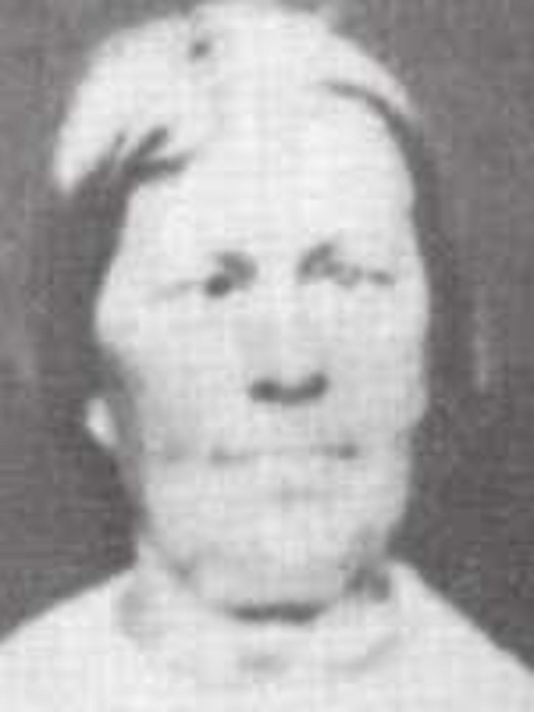 Mary Ann Patten (1822 - 1878) Profile